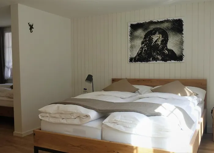 Hotel Baeren Guttannen